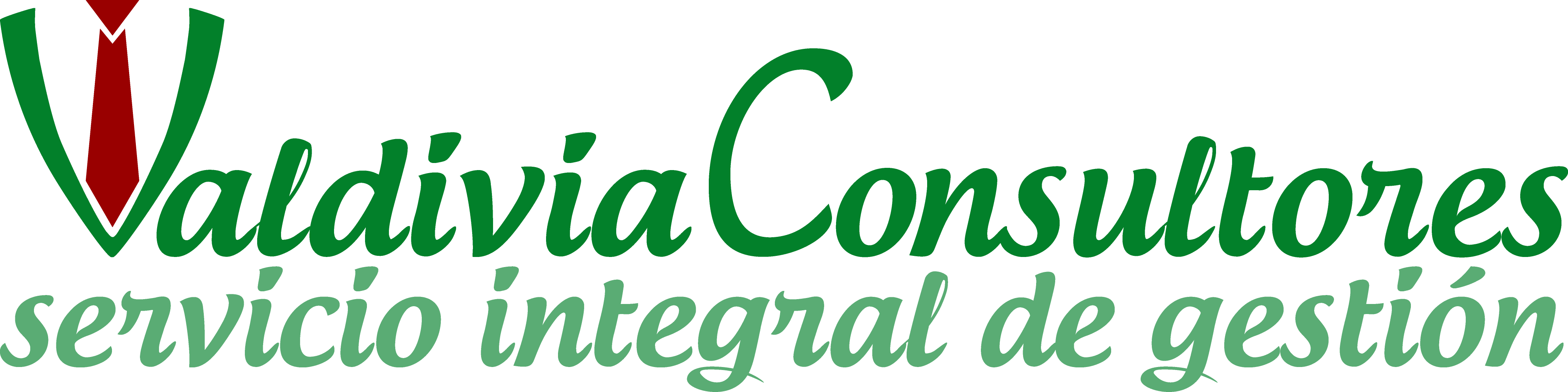 Valdivia Consultores